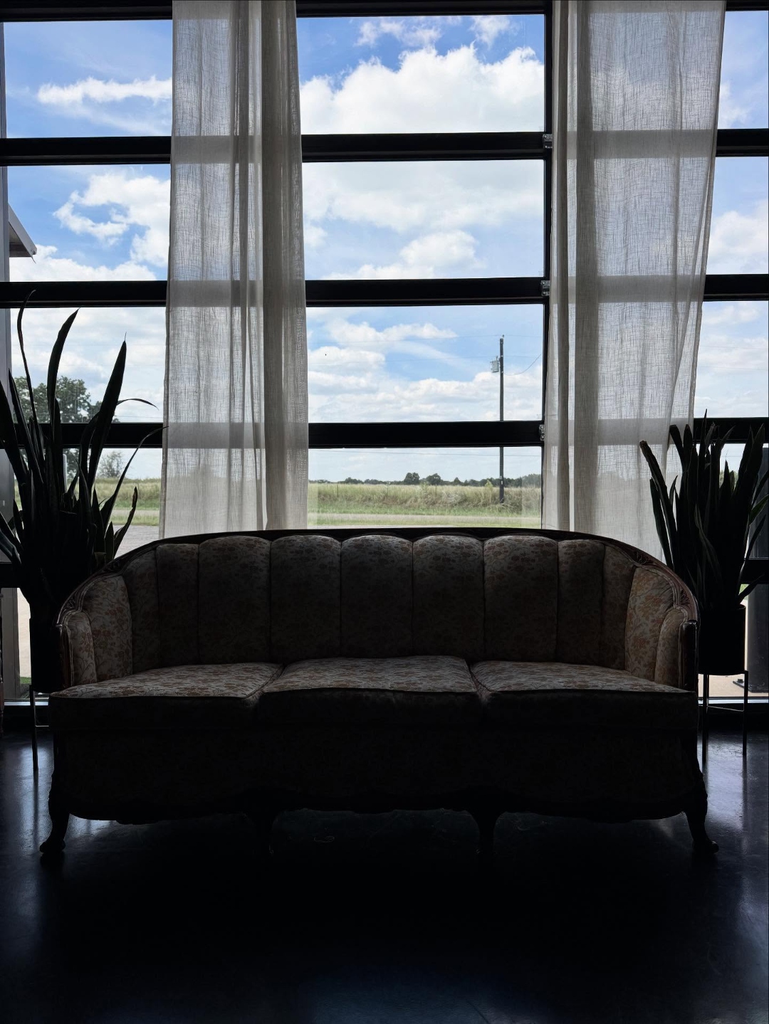 The bright, welcoming lobby at Mane Roots + Co in Canton, TX